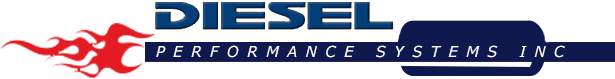 Diesel Performance Systems Inc